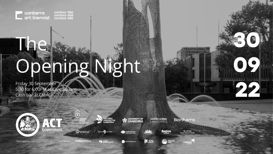 The Opening Night |  Canberra Art Biennial