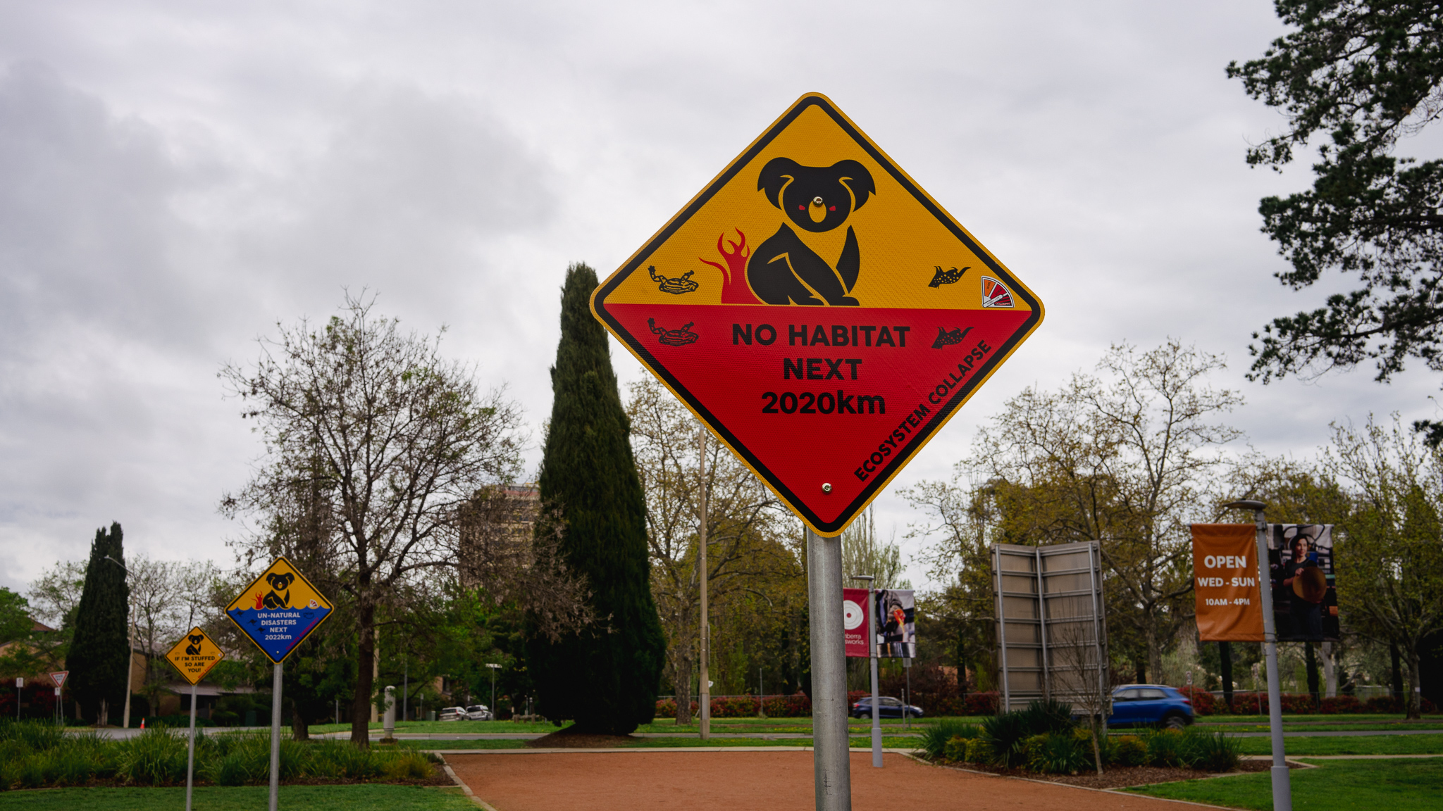 Angry Koala Series by Ian Hubbard